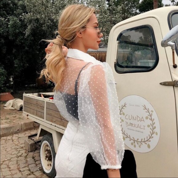 Zara Swiss Dot Organza Puff Sleeve Blouse - Picture 7 of 16